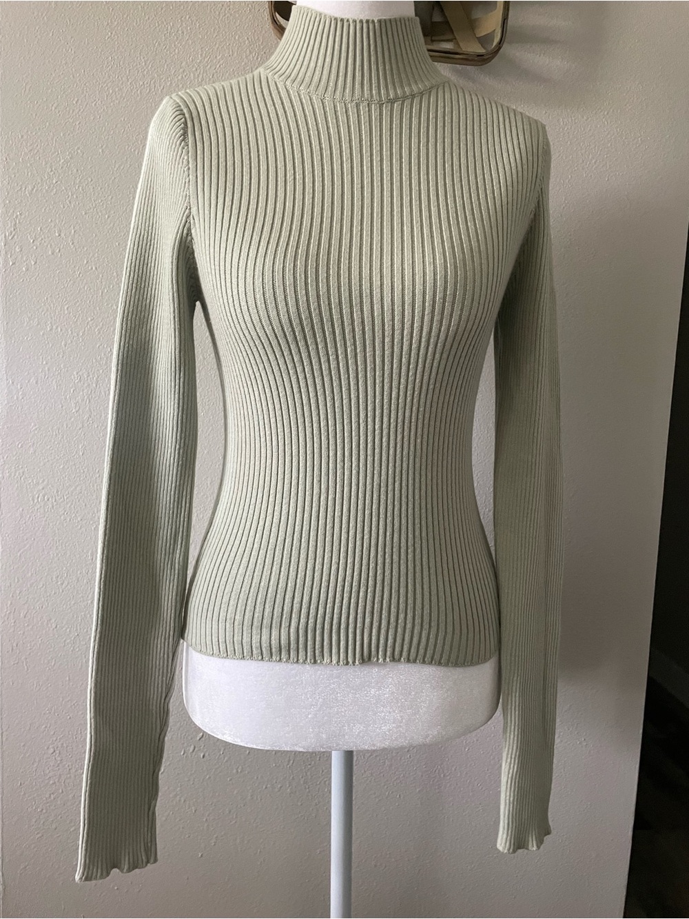 Brandy Melville Diana Ribbed Turtleneck Sweater Light Green Mock Neck